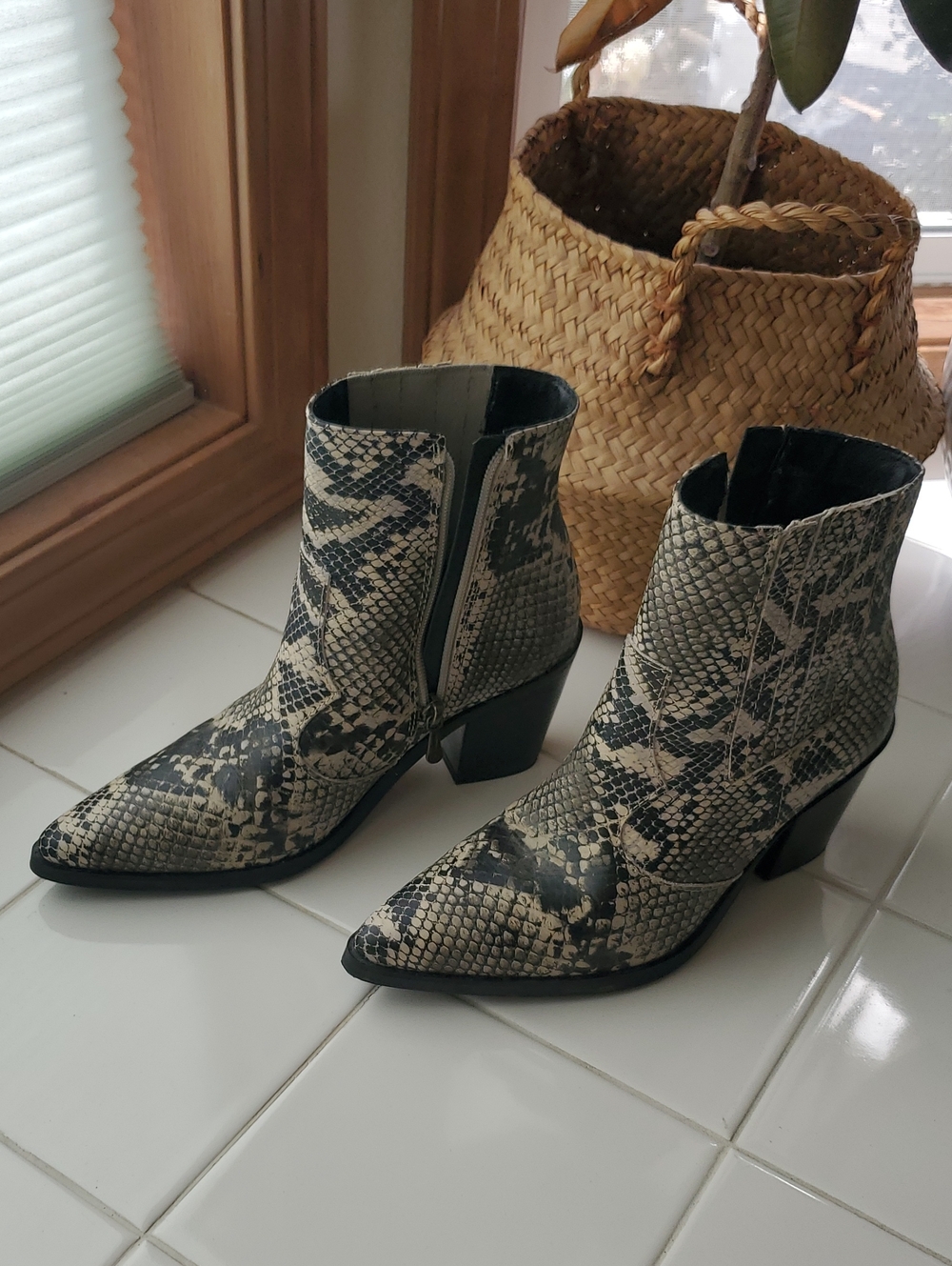 Blondo Que Snake-Print Pointed Ankle Boots - Black & Cream